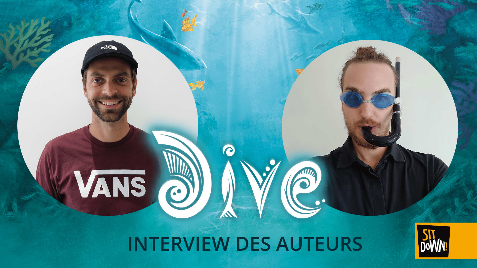 Dive - Designers interview