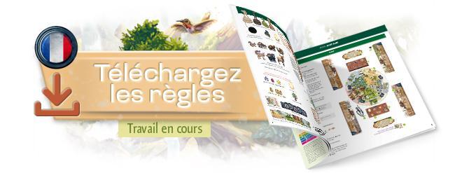 RED-KSScroll-07-J-HowToPlay-RulesFR-FR