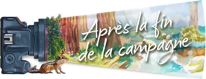 RED-KSScroll-18-A-AfterEnds-FR