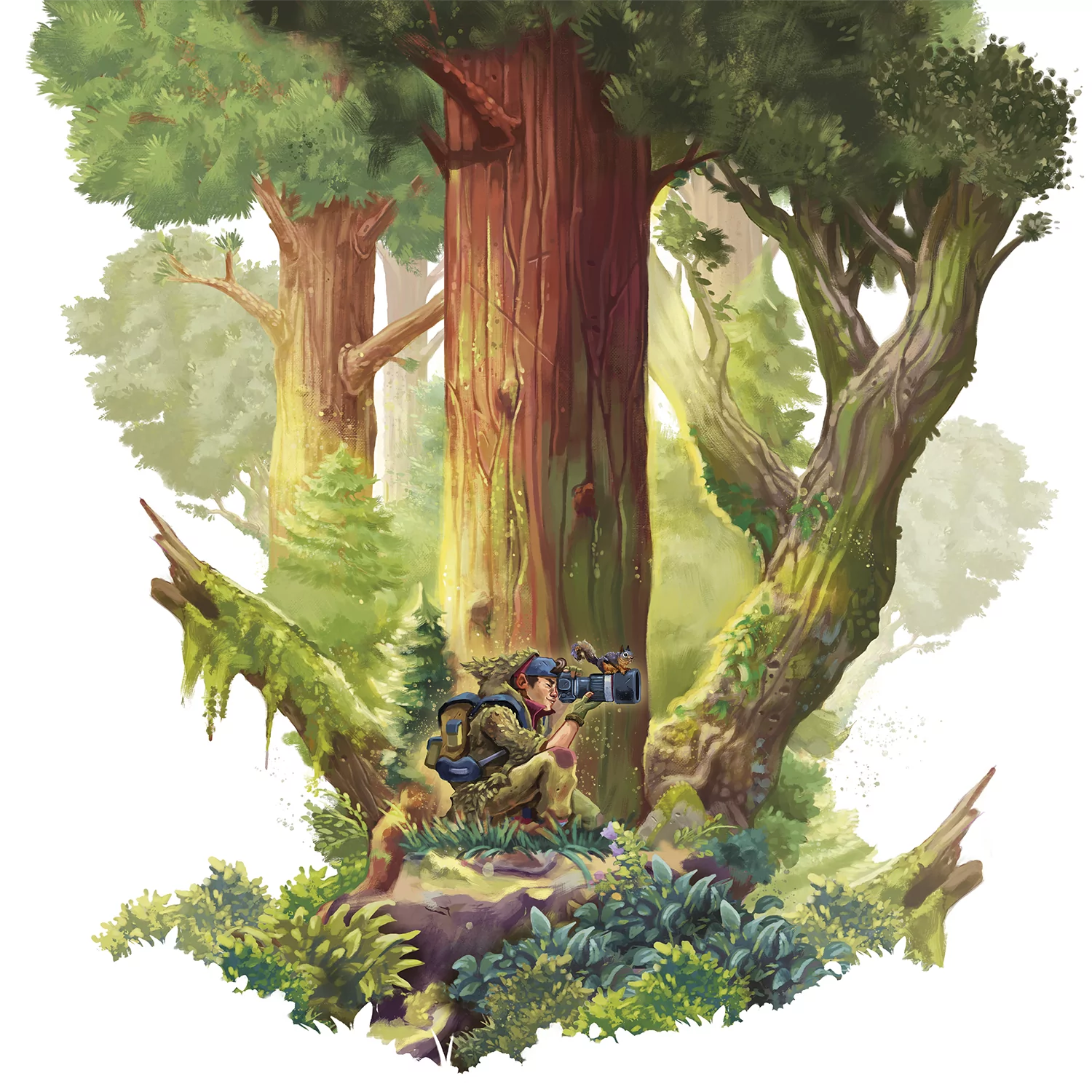 Redwood - Kickstarter Version - Image 6