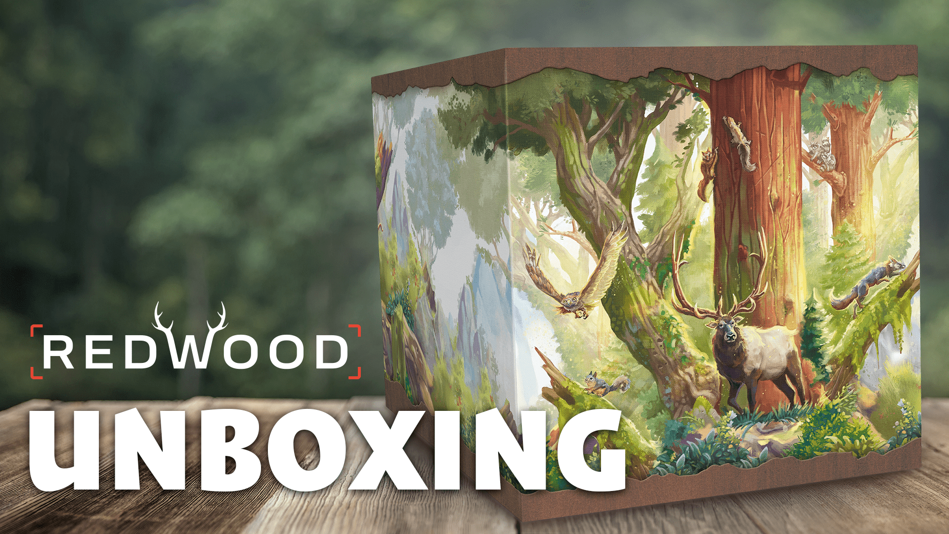 Redwood - Unboxing